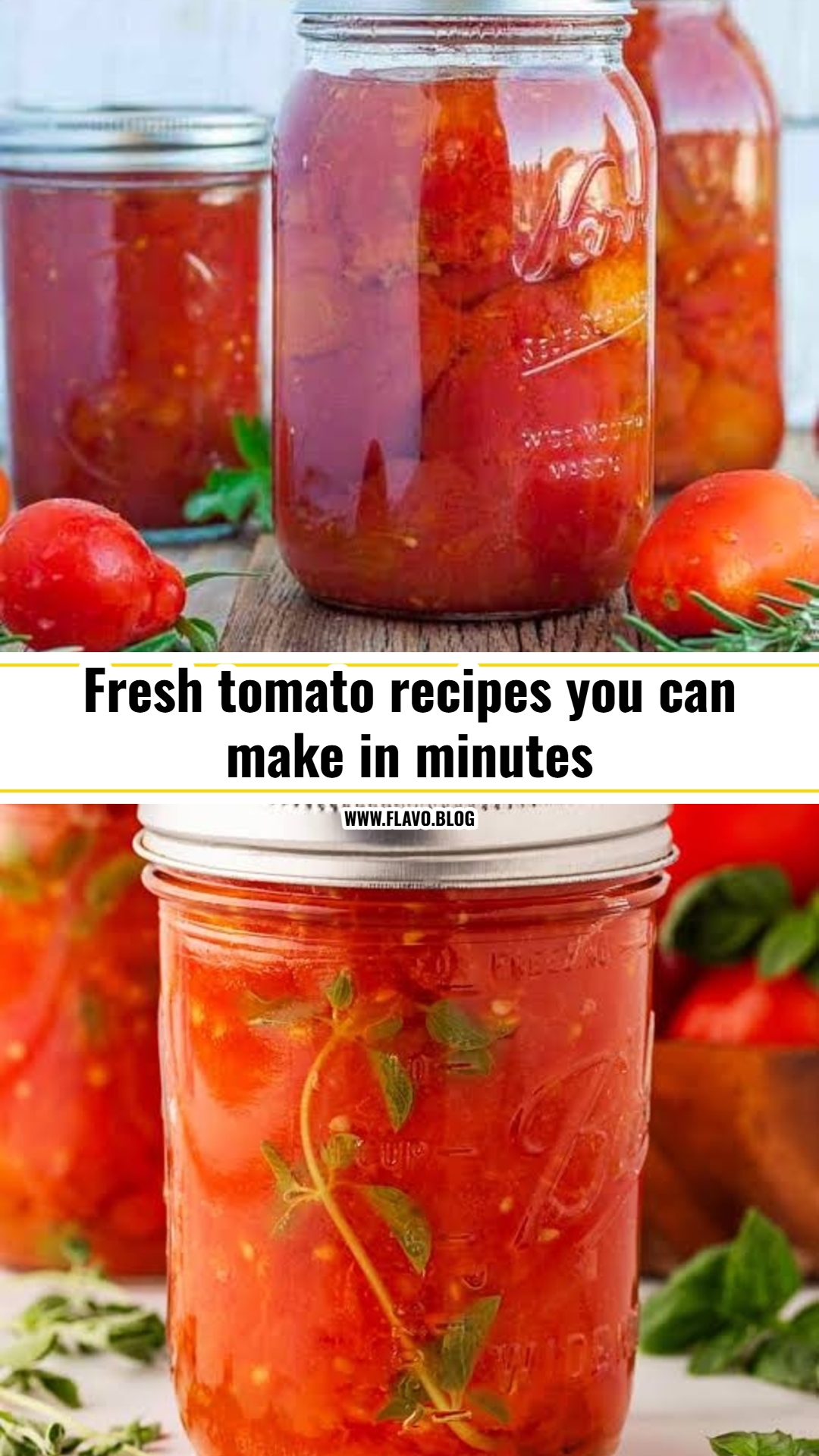 Best fresh tomato recipes for summer harvest