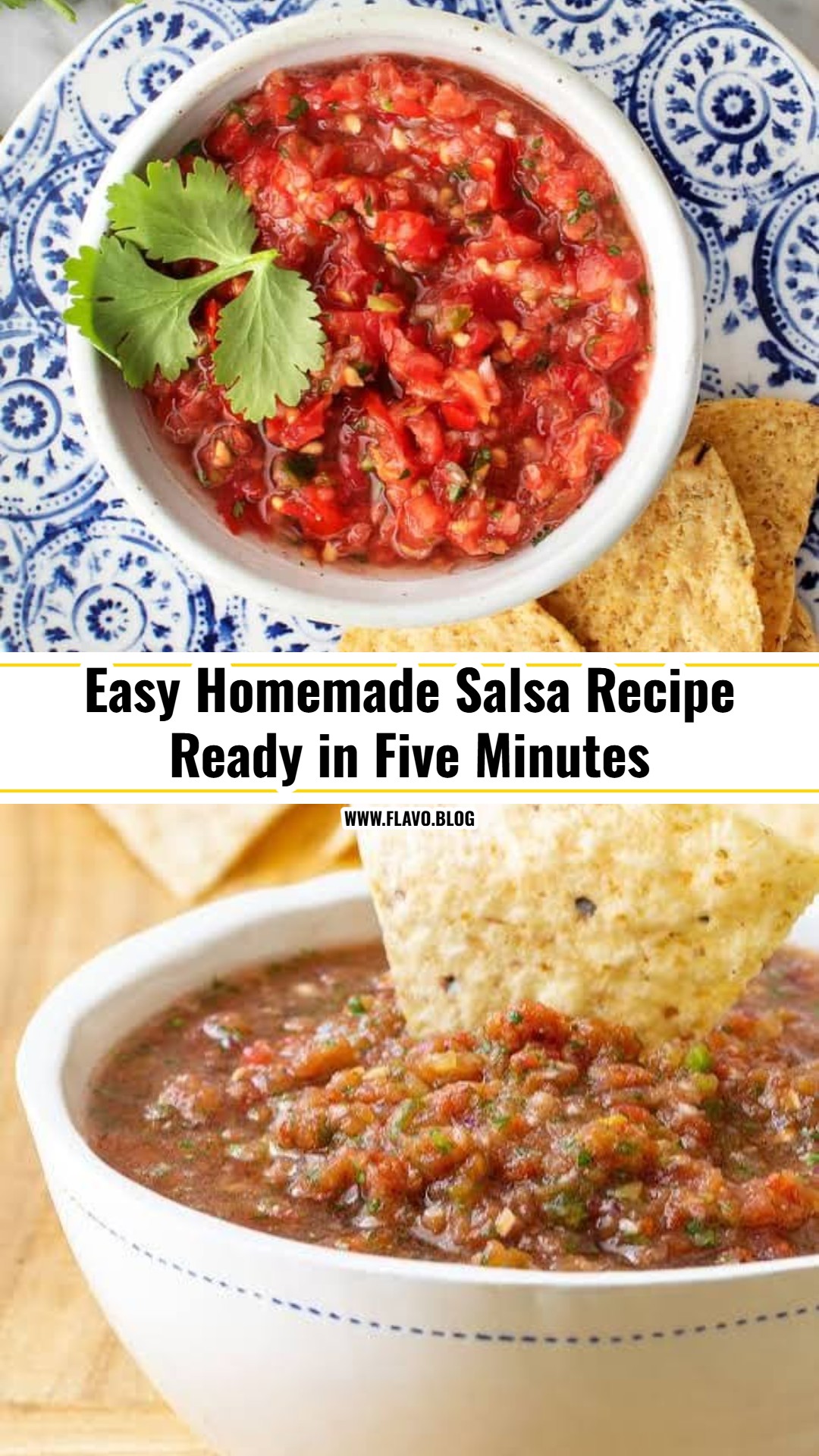The Best Homemade Salsa You Will Ever Make
