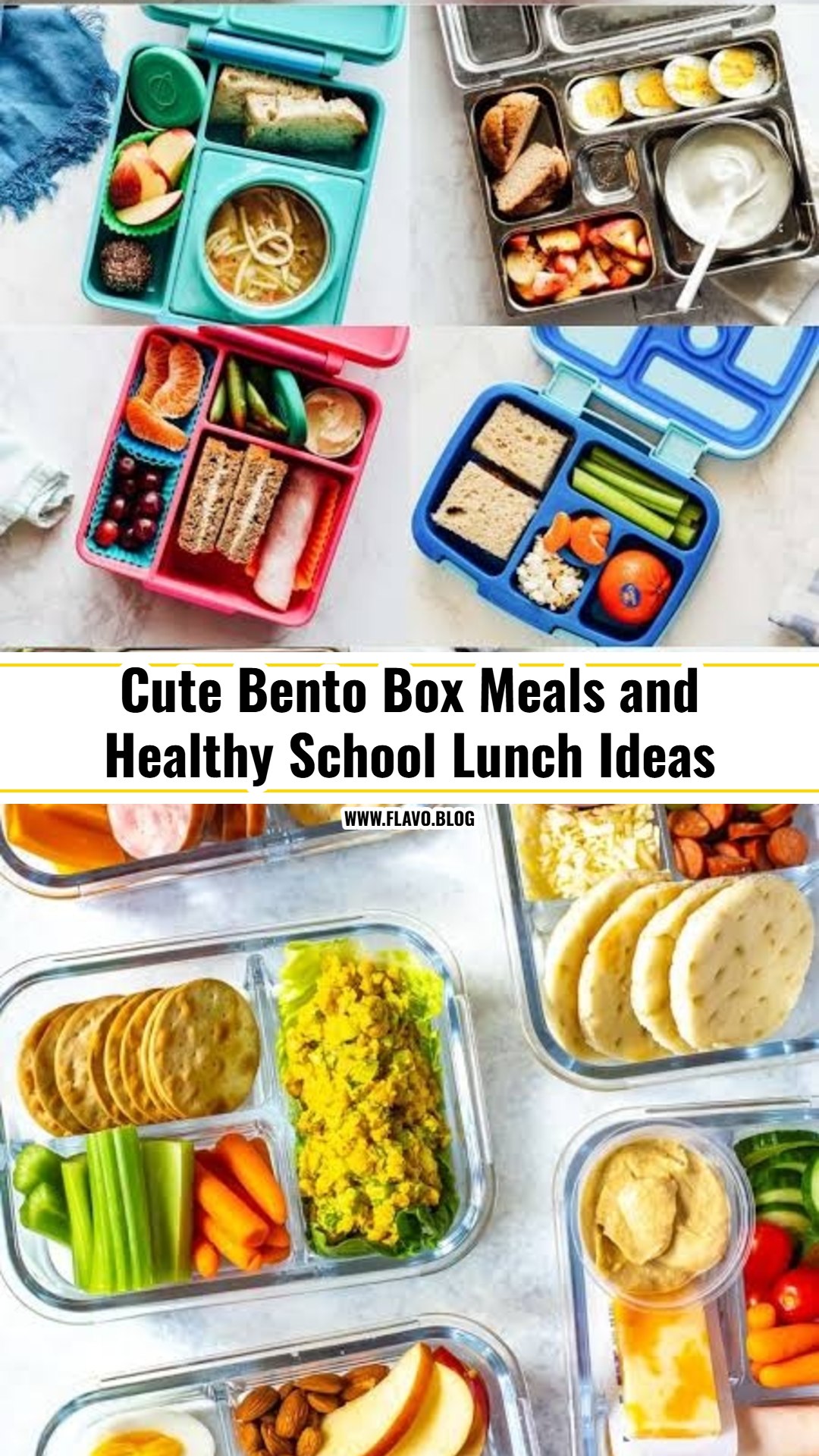 Bento Box Meals and Healthy School Lunch Ideas Kids Love