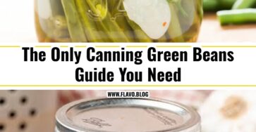 Easy Dilly Beans Recipe For Beginners