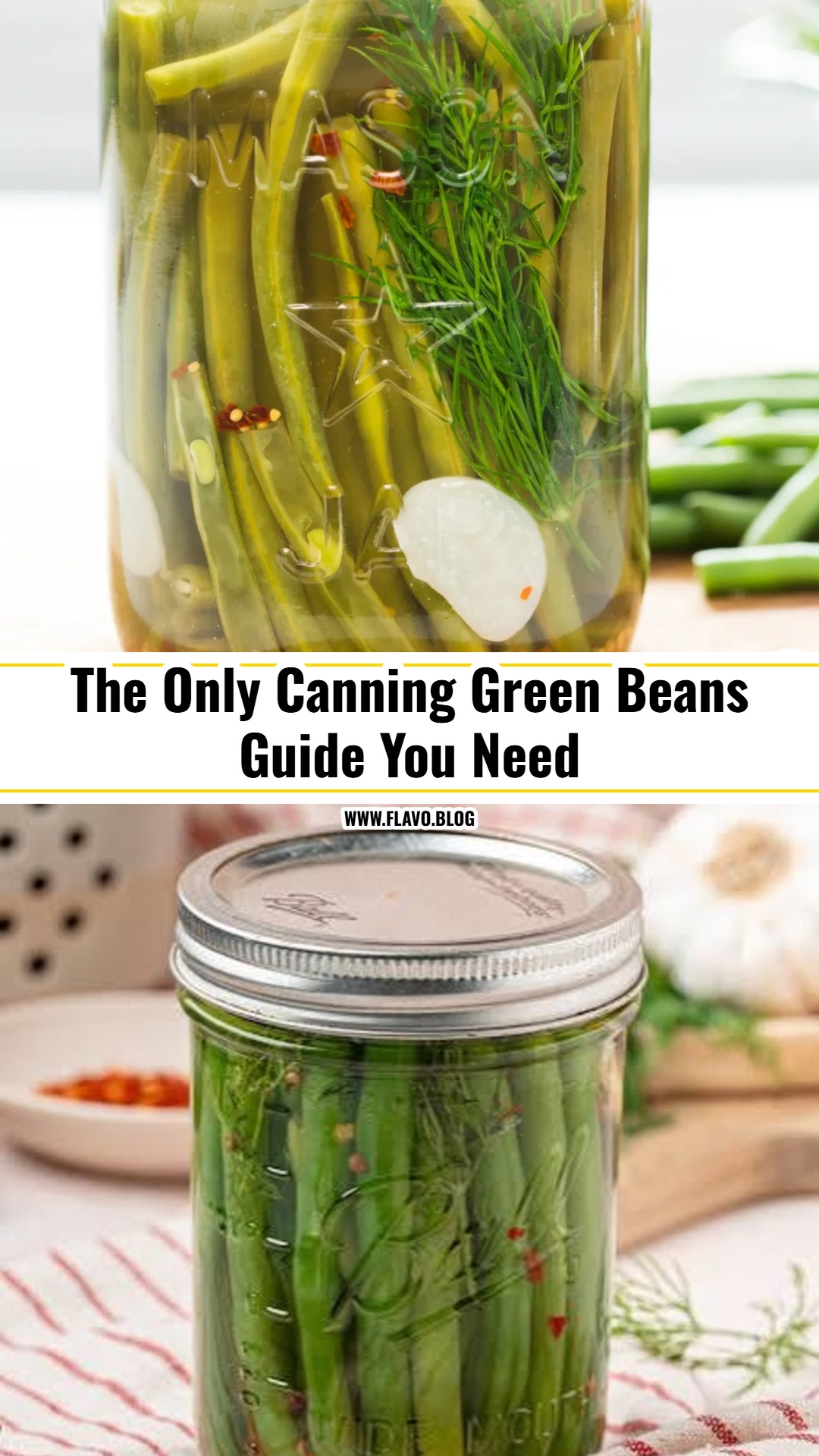 Easy Dilly Beans Recipe For Beginners