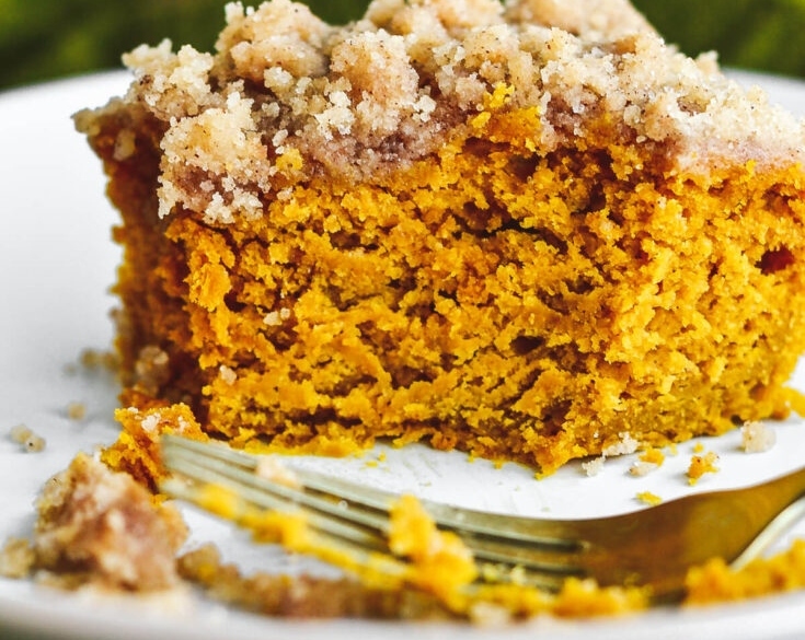Easy Pumpkin Coffee Cake with Maple Pecan Streusel top view